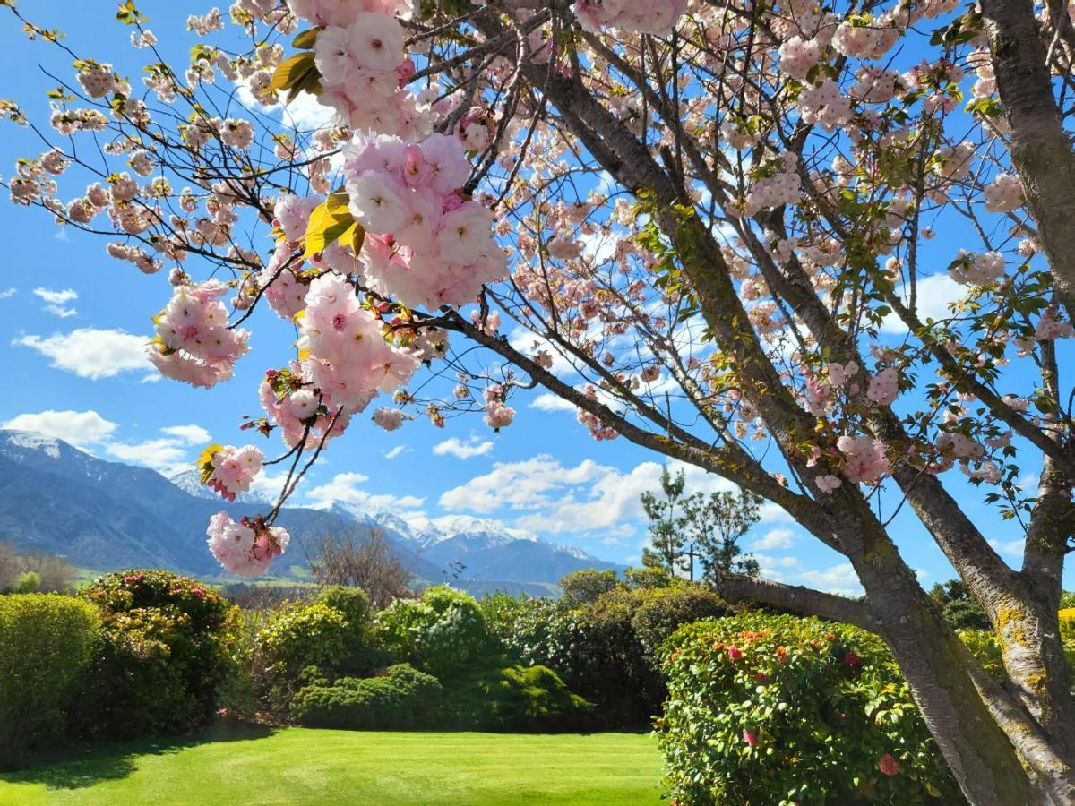 Te Mahuru Retreat 凯库拉 外观 照片