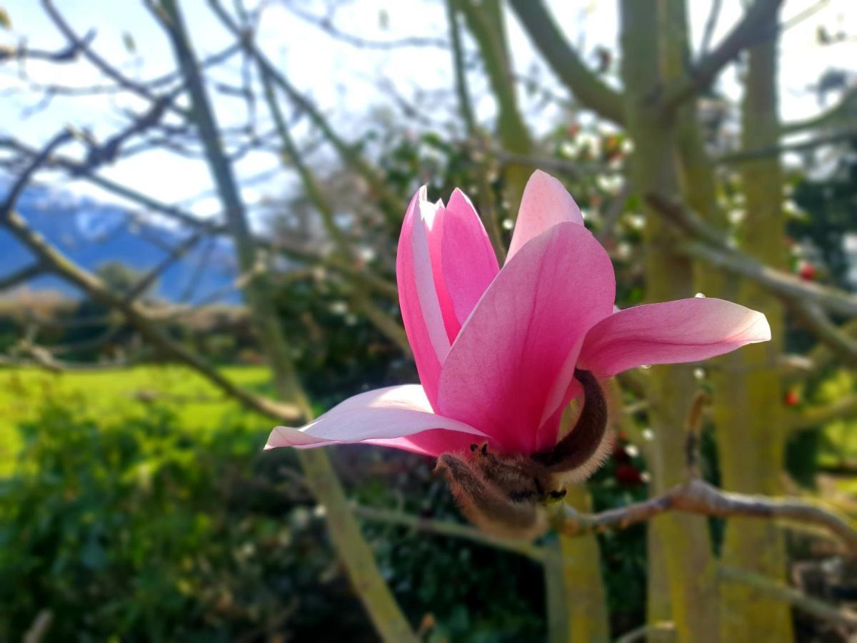 Te Mahuru Retreat 凯库拉 外观 照片